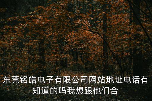 東莞銘皓電子有限公司網站地址電話有知道的嗎我想跟他們合