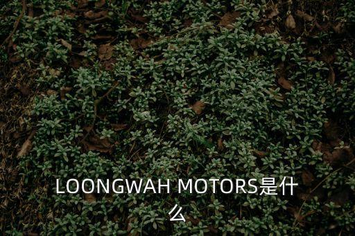 LOONGWAH MOTORS是什么