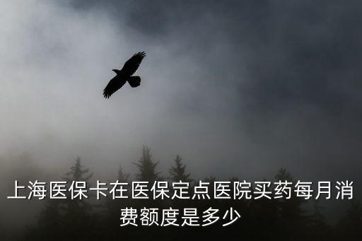 上海醫(yī)保卡在醫(yī)保定點醫(yī)院買藥每月消費額度是多少