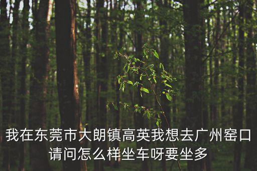 東莞大朗鎮高英村多少公里，東莞大朗鎮大潤發到高英村坐幾路車