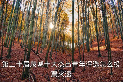 第二十屆泉城十大杰出青年評選怎么投票火速
