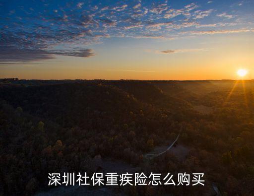 深圳社保重疾險怎么購買