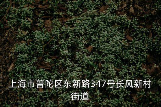 上海市普陀區(qū)東新路347號長風(fēng)新村街道