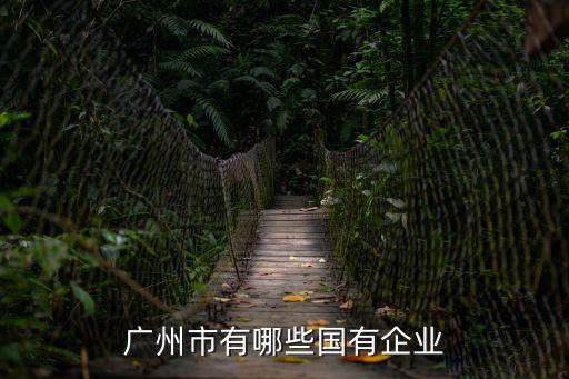 廣州哪些國企，廣州有哪些大型國企