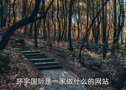 環宇國際是一家做什么的網站