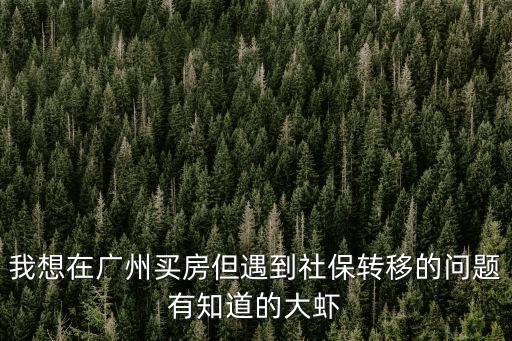 我想在廣州買房但遇到社保轉移的問題有知道的大蝦