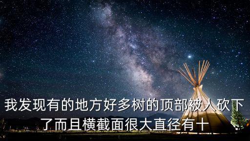 東莞大樹被拔掉，大樹被別人砍掉找哪個部分投訴