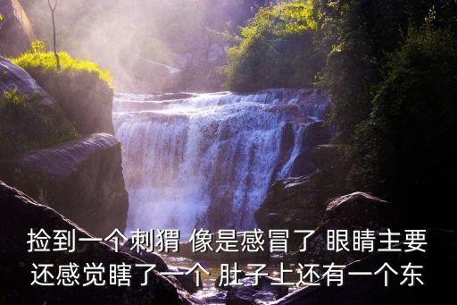 撿到一個刺猬 像是感冒了 眼睛主要還感覺瞎了一個 肚子上還有一個東