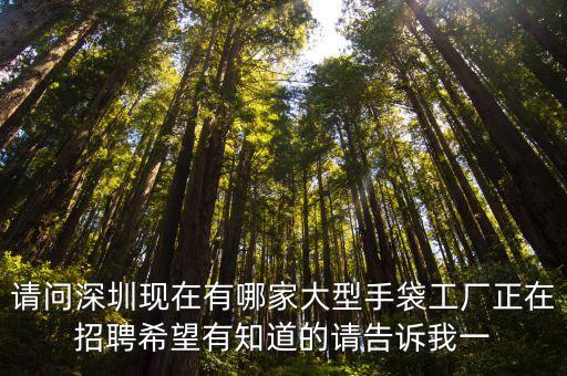 請問深圳現在有哪家大型手袋工廠正在招聘希望有知道的請告訴我一