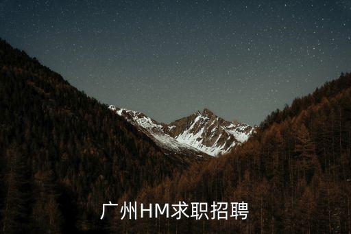 廣州2017專場招聘，廣州HM求職招聘