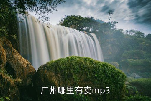 廣州mp3旗艦店，廣州哪里有迪斯尼MP34專賣店啊 本人急