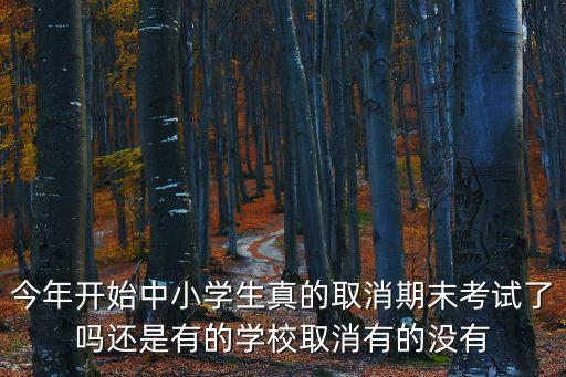 深圳2020取消期末考，明天期末考試能不能取消