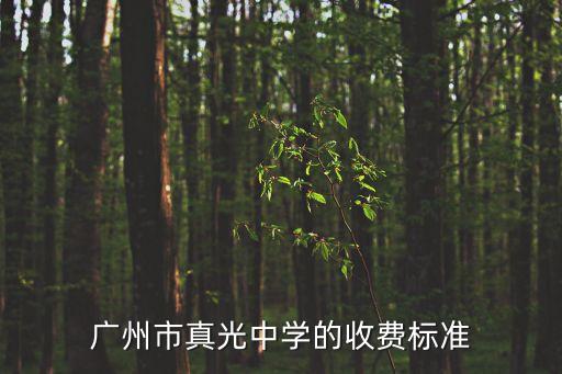 廣州芳村真光小學學費，廣州市真光中學的收費標準