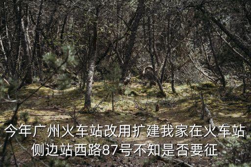 廣州火車站擴建到站西，廣州火車站坐什么車到站西路