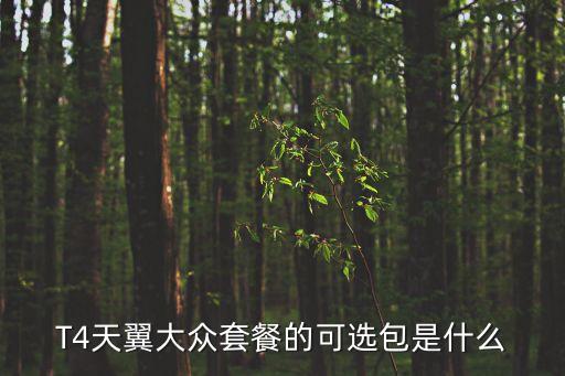 T4天翼大眾套餐的可選包是什么