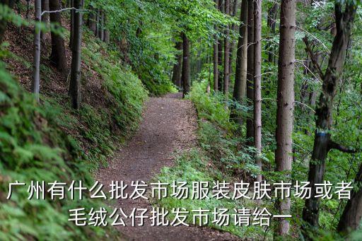 廣州有什么批發(fā)市場(chǎng)服裝皮膚市場(chǎng)或者毛絨公仔批發(fā)市場(chǎng)請(qǐng)給一