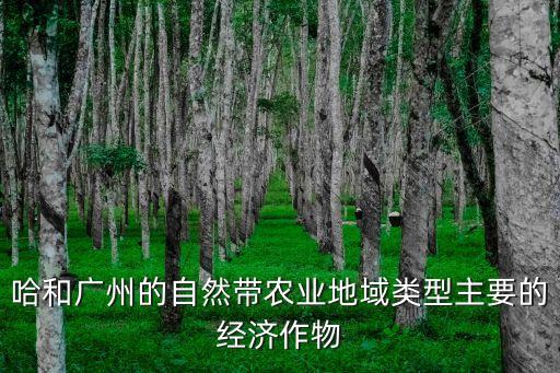 廣州的經濟作物，廣州 主要農作物