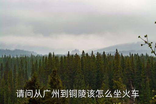 廣州離銅陵，請問從廣州到銅陵該怎么坐火車