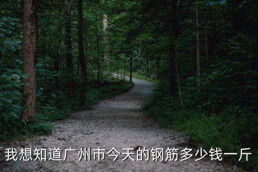 我想知道廣州市今天的鋼筋多少錢一斤
