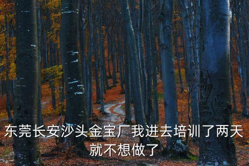 東莞長安沙頭金寶廠我進去培訓(xùn)了兩天就不想做了