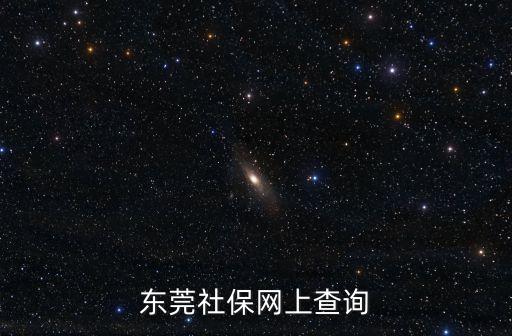 東莞力優(yōu)人力資源和社會(huì)保障，東莞社保網(wǎng)上查詢