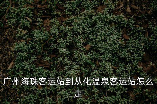 廣州海珠客運站到從化溫泉客運站怎么走