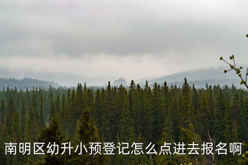 南明區幼升小預登記怎么點進去報名啊