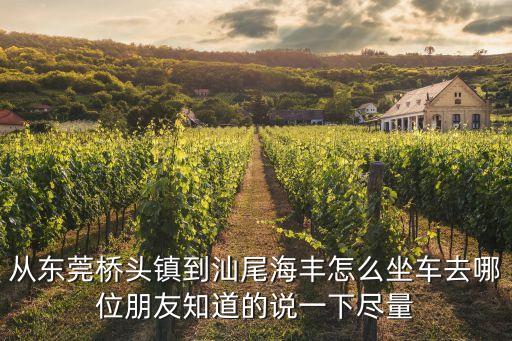 從東莞橋頭鎮(zhèn)到汕尾海豐怎么坐車去哪位朋友知道的說(shuō)一下盡量