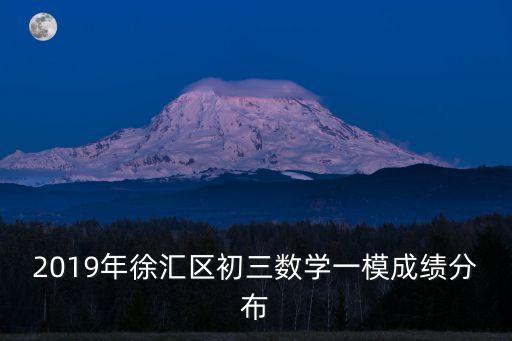 2019年徐匯區初三數學一模成績分布