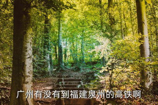 廣州到福泉的高鐵，廣州有沒有到福建泉州的高鐵啊