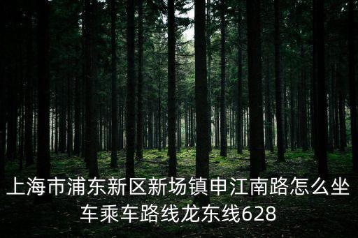 上海市浦東新區(qū)申江南路偏嗎，浦東新區(qū)申江南路4888具體地圖