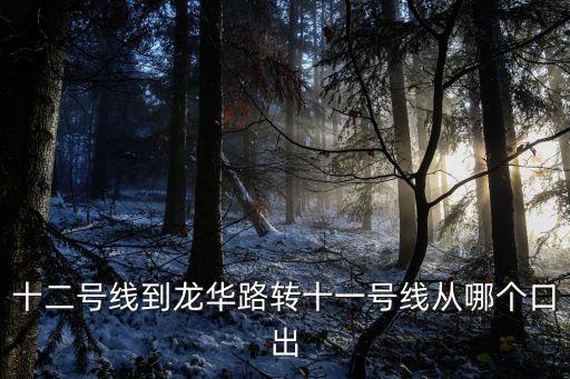 深圳地鐵12號線與11號線，請問大木橋路地鐵12號線換11號線在哪站換謝謝