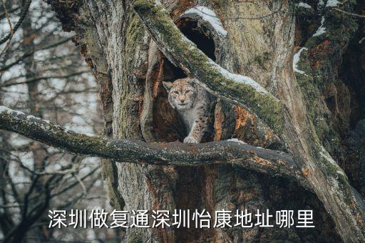 深圳做復通深圳怡康地址哪里
