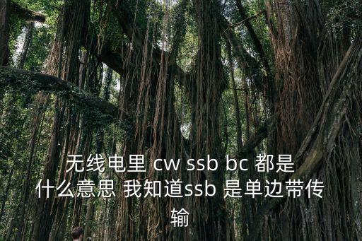 深圳短波ssb，簡單解釋ssb收音機特點