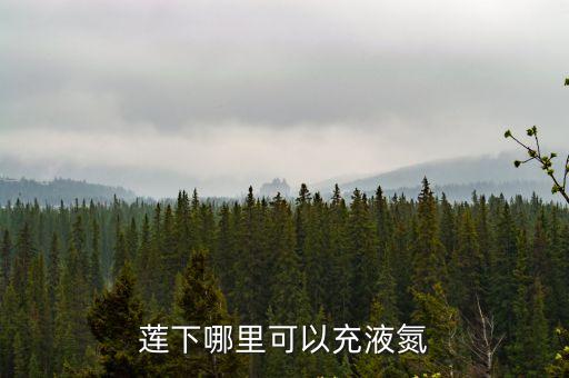 蓮下哪里可以充液氮