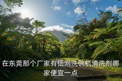在東莞那個廠家有低泡洗碗機清洗劑哪家便宜一點