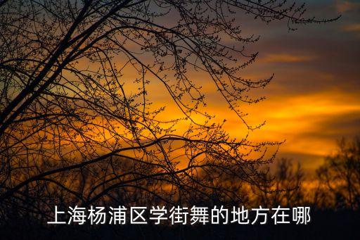 上海市楊浦區街舞，上海市楊浦區正規街舞培訓班