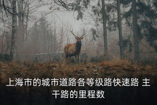 上海市各條道路的長度，上海市中環路有多少公里長