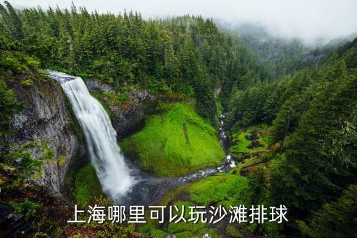 2019上海市沙灘排球，上海哪里可以玩沙灘排球
