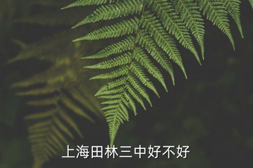 上海田林三中好不好