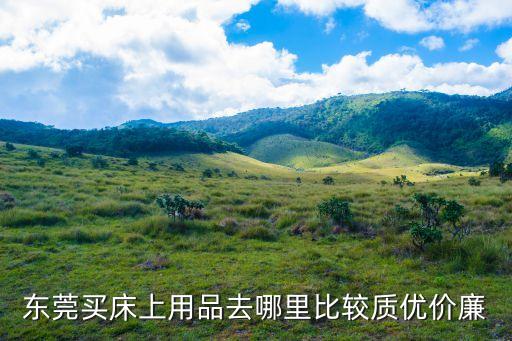 東莞買床上用品去哪里比較質(zhì)優(yōu)價廉