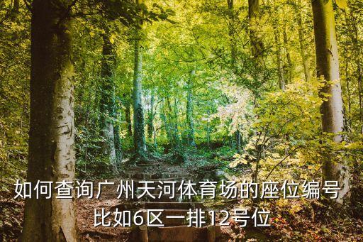 廣州體育館2號館 座位，如何查詢廣州天河體育場的座位編號 比如6區一排12號位