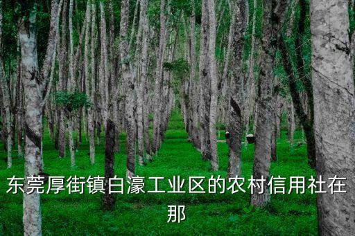 東莞厚街鎮白濠工業區的農村信用社在那