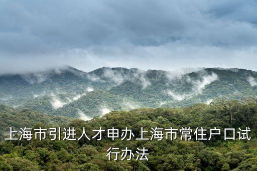 上海市引進人才申辦上海市常住戶口試行辦法