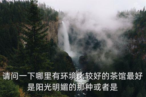 請問一下哪里有環境比較好的茶館最好是陽光明媚的那種或者是