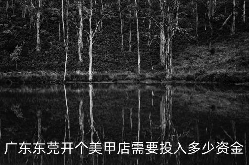 廣東東莞開個美甲店需要投入多少資金