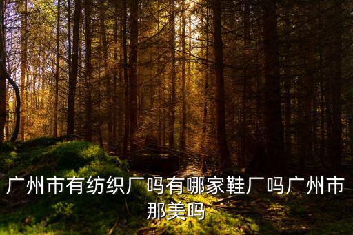 廣州市有紡織廠嗎有哪家鞋廠嗎廣州市那美嗎
