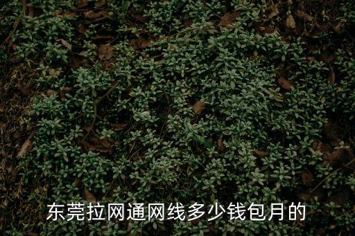 東莞拉網通網線多少錢包月的