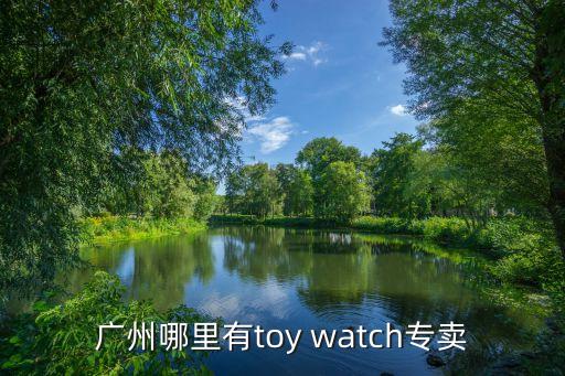 廣州哪里有toy watch專(zhuān)賣(mài)
