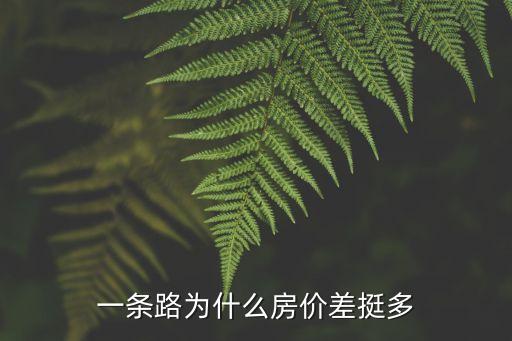 一條路為什么房?jī)r(jià)差挺多